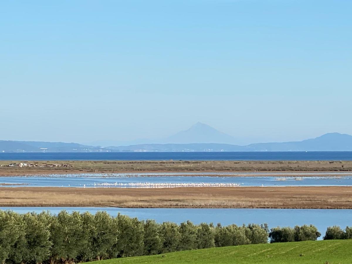 Villa Olymp Nea Poteidaia Luaran gambar